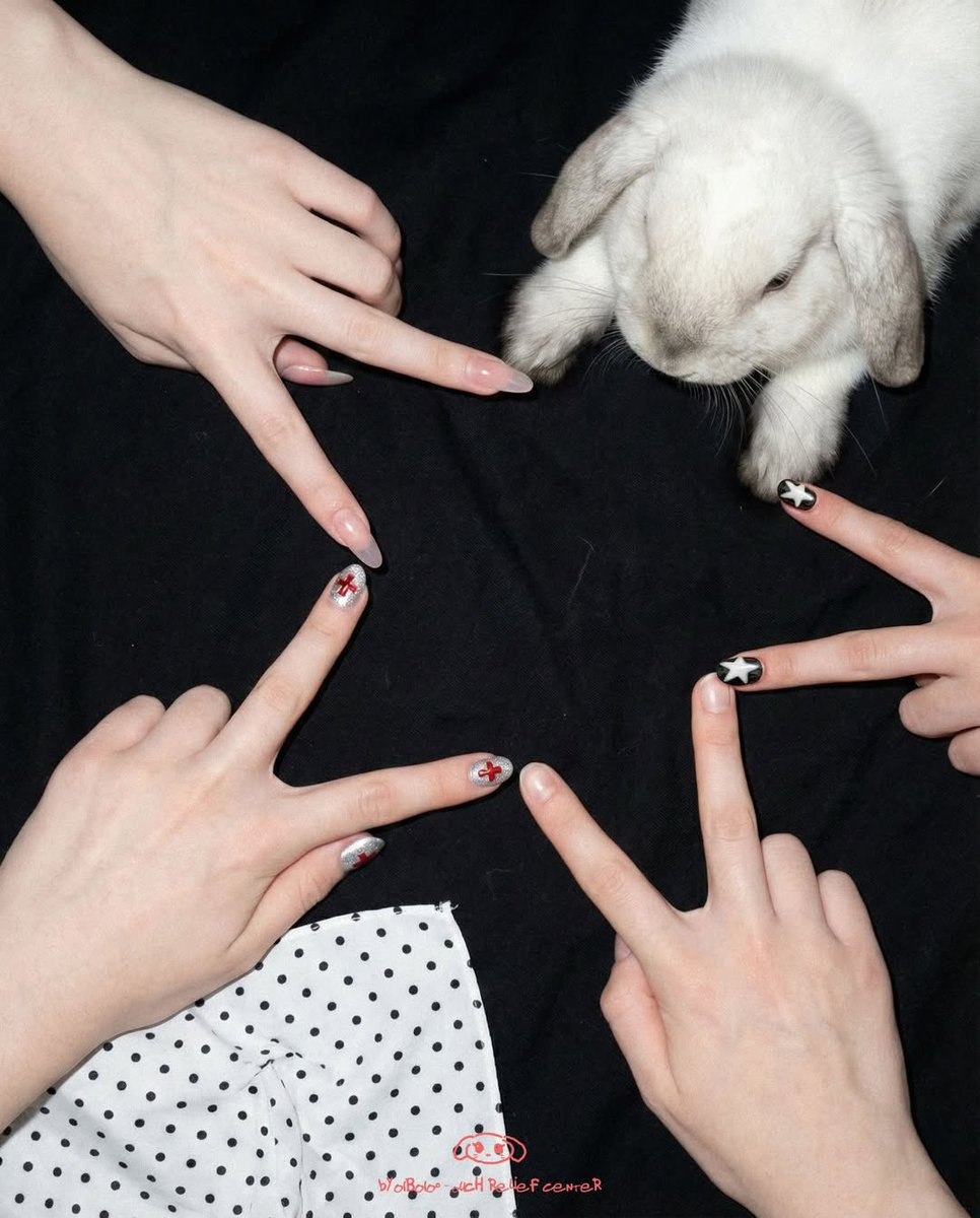 Why you should have a rabbit tweet media