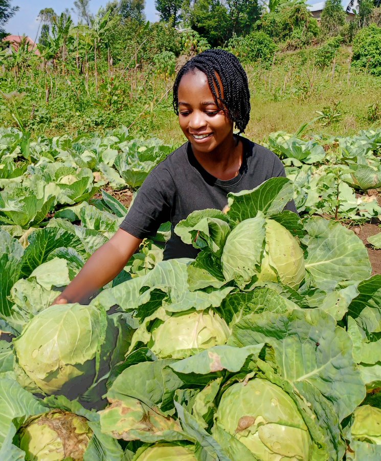 And you're still worried about getting into that venture?

Do honest work and little research on your work and opportunities shall come knocking.