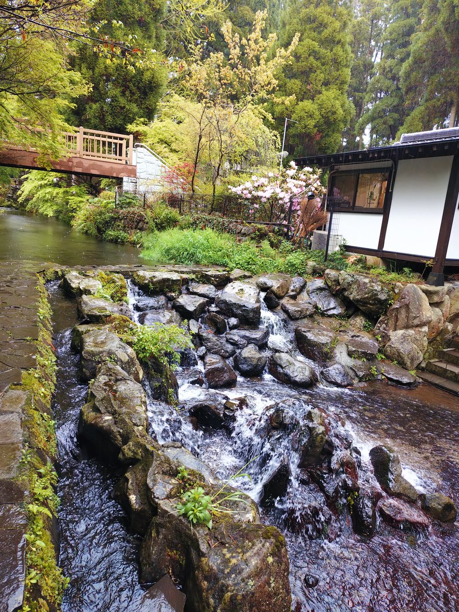 ごま🐶 tweet media