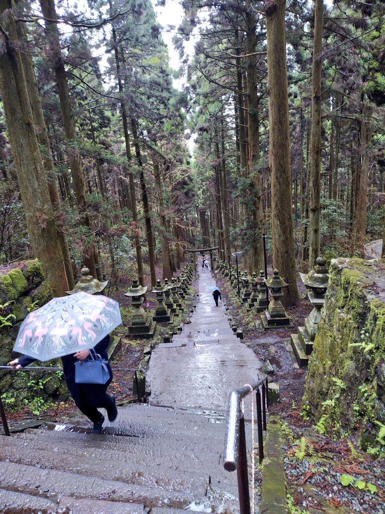 ごま🐶 tweet media