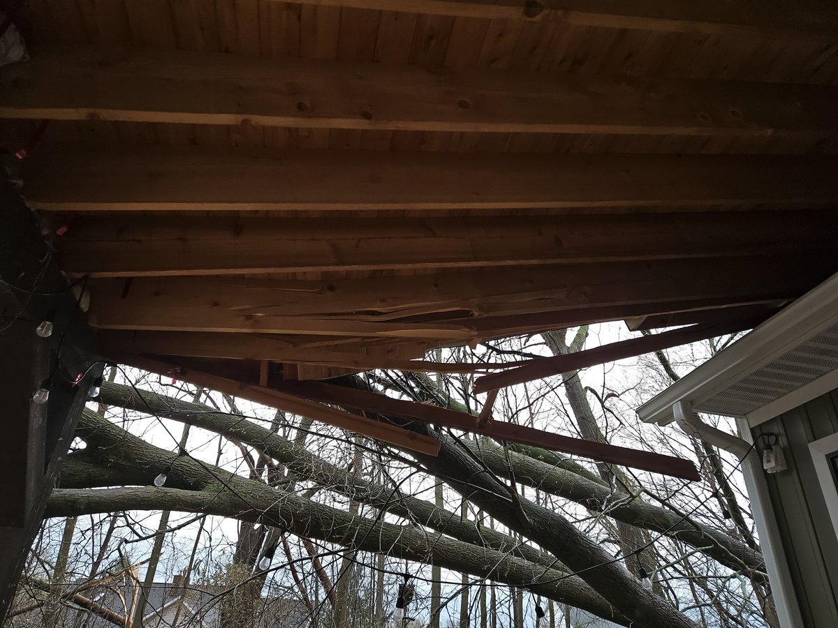 6 piplups in a trench coat tweet media