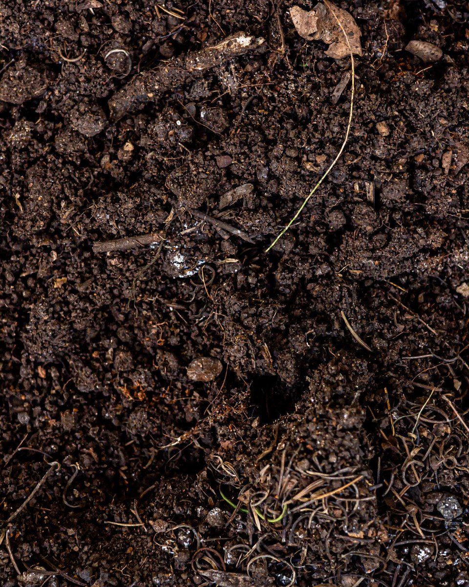 Carbon is king when it comes to soil aggregation. Durable carbon holds on to nutrients for microbes to break down for roots. Simple agronomic math equals more carbon - better root nutrient absorption.