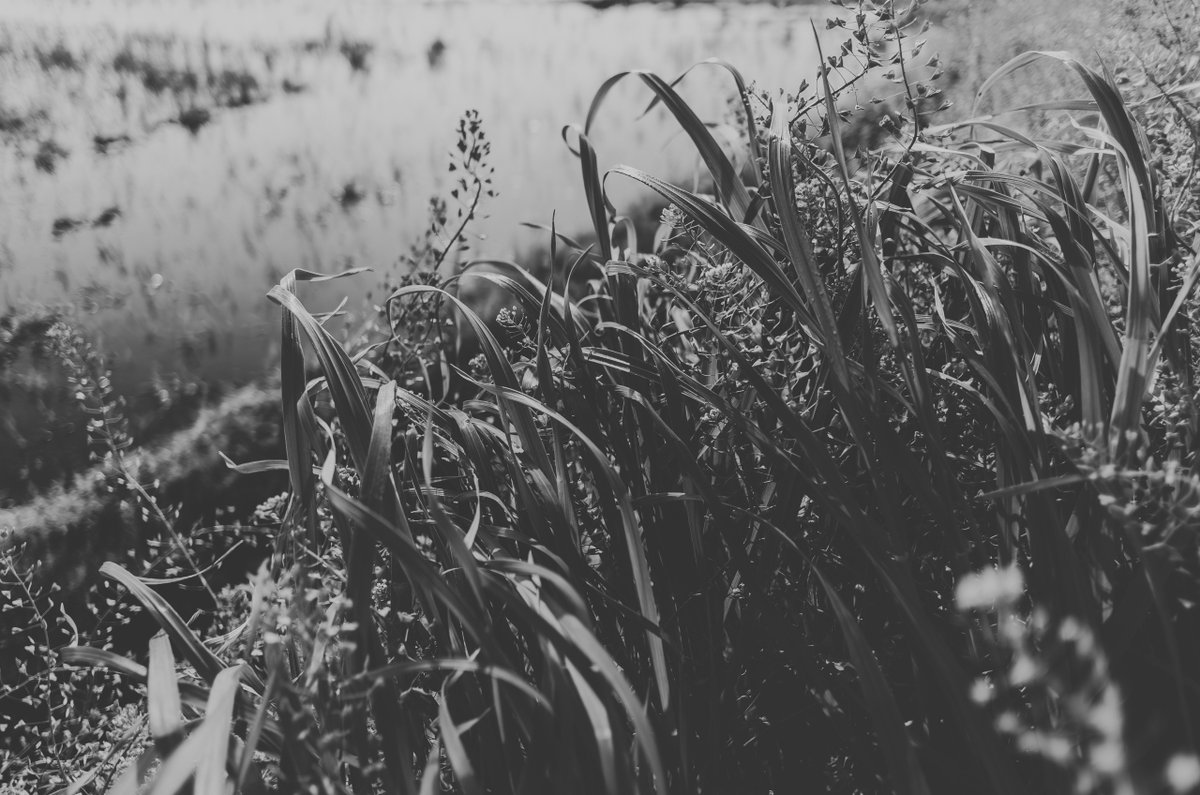 akabeko63's tweet image. #2451
#monochrome #モノクローム