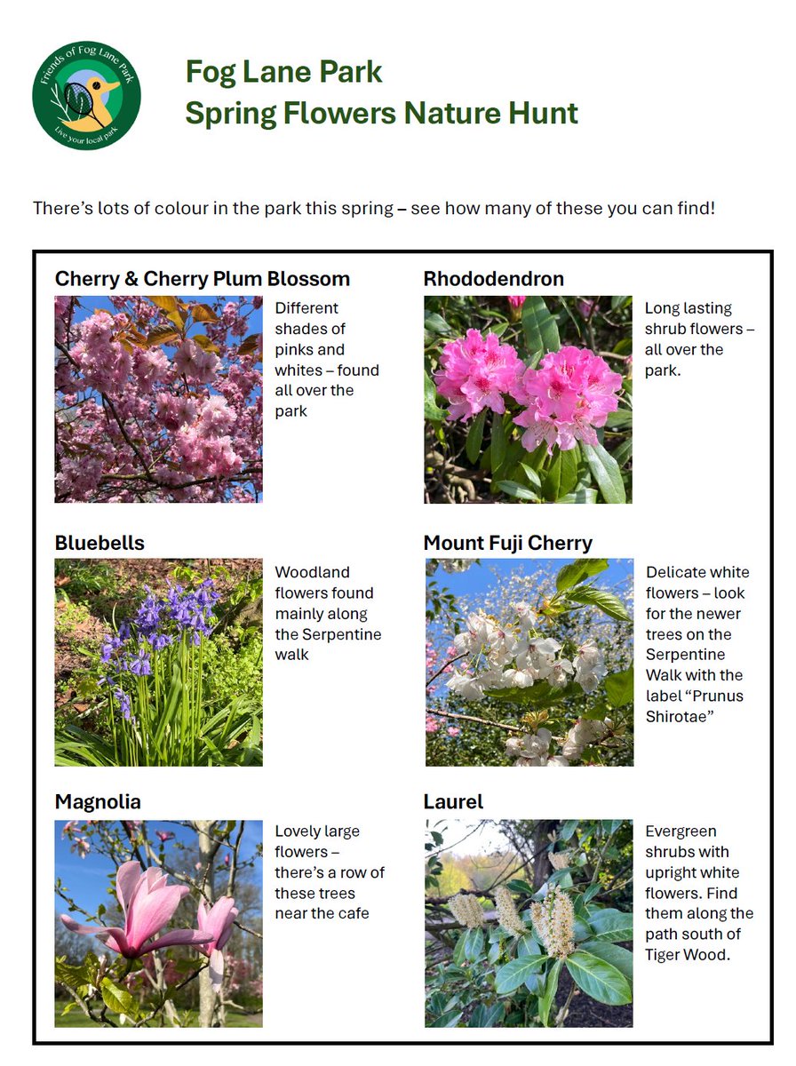 Friends of Fog Lane Park tweet media