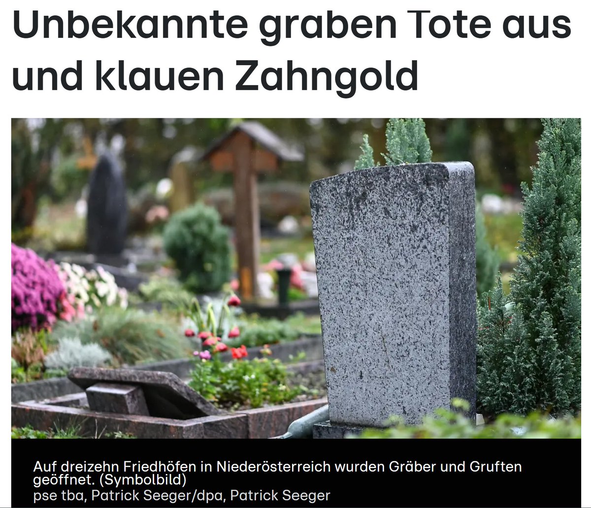 爪卂ㄒ丂ㄩ卄丨爪乇 Kirschblüten-Prinzessin tweet media