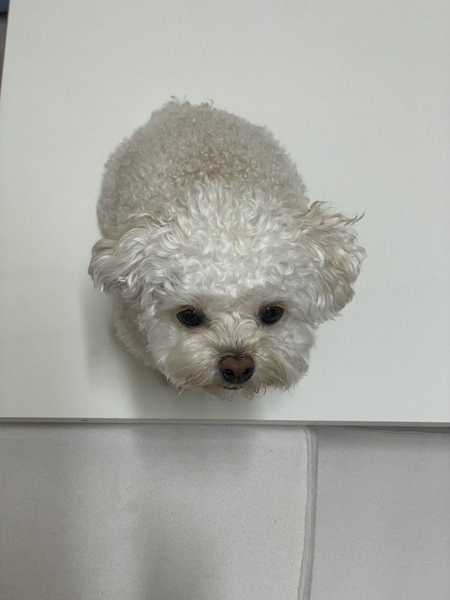 최밥풀 tweet media