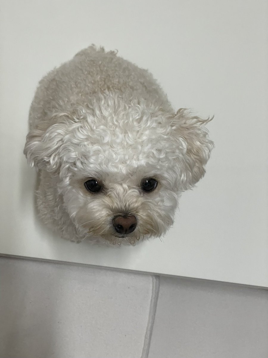 최밥풀 tweet media