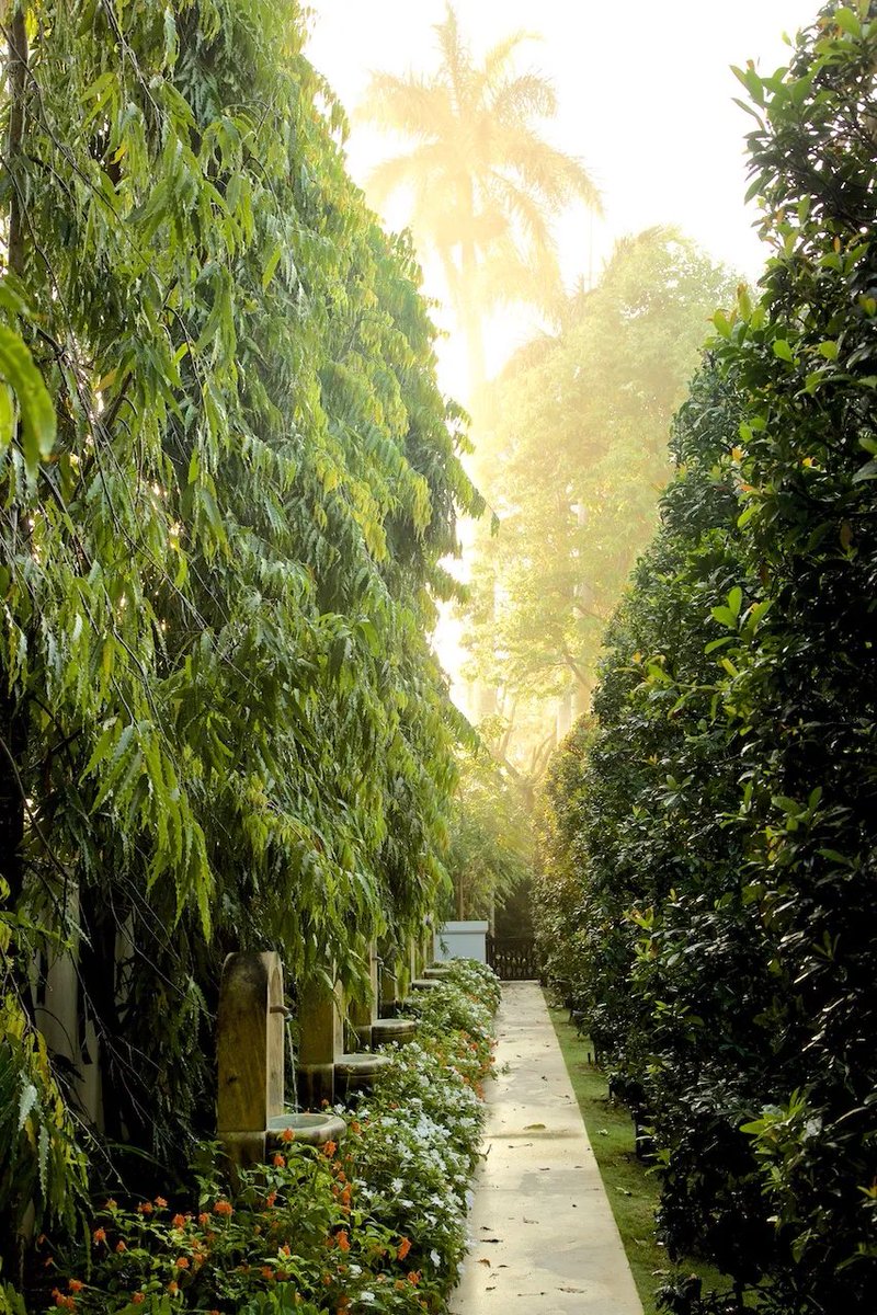 FourArts's tweet image. Where landscape becomes legacy.  

Designers Fernando Wong, Mario Nievera, and Jorge Sanchez join David Netto for a conversation on the art of great gardens.  

📅 April 22 at 3 p.m.  

Discover more: bit.ly/4sEwC2K

#FourArts #LandscapeDesign #GardenDesign