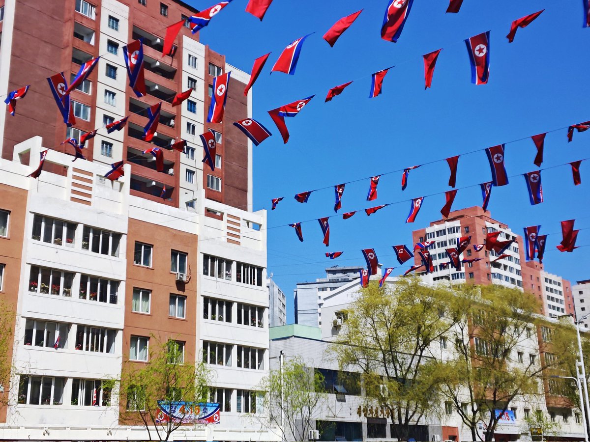 Sally Yin 🍒 tweet media