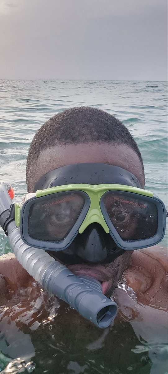 TimoTimothy123's tweet photo. Swim https://t.co/zNhAtPwwS3