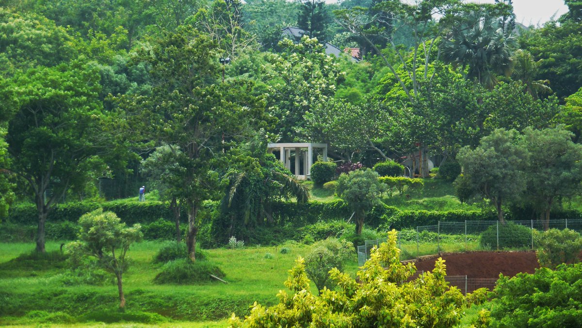 𝑨 𝖉 ŕ̸̡̯̞̫̟̞͌́͆̀̏͒ tweet media