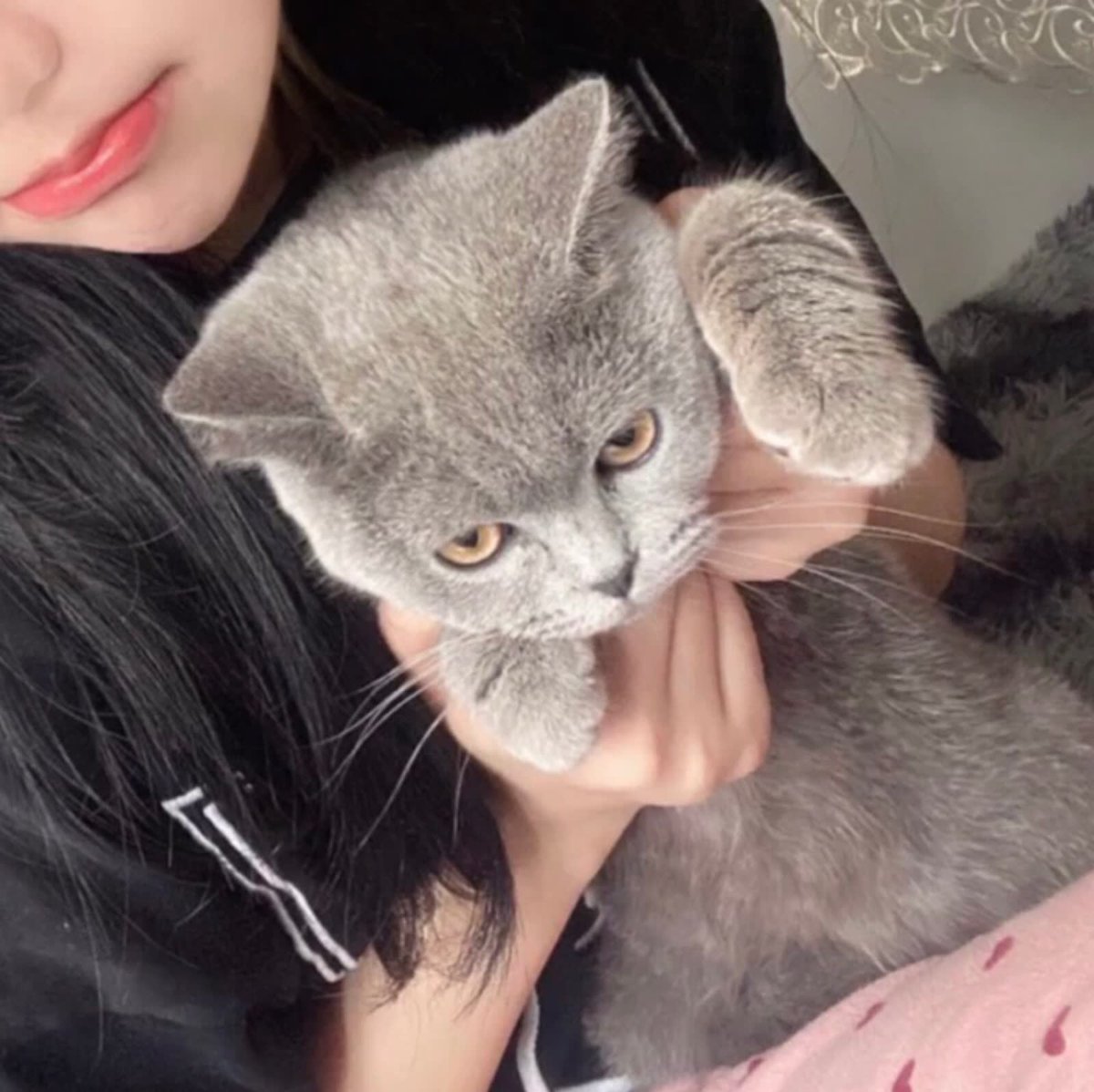 Tien Candela tweet media