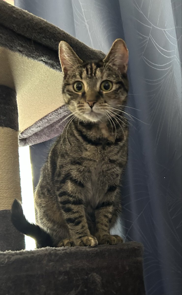 Vodkavamp tweet media