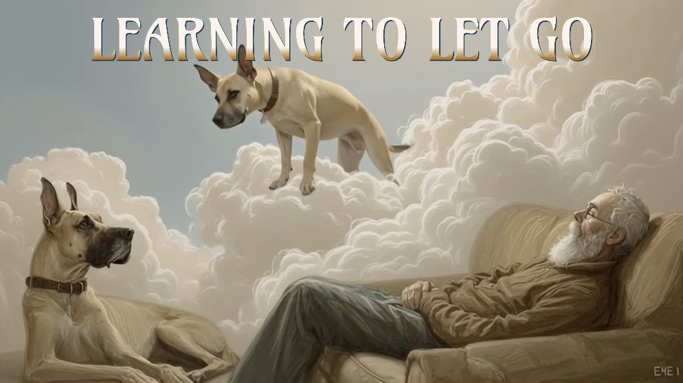 Showroom Partners Entertainment tweet media