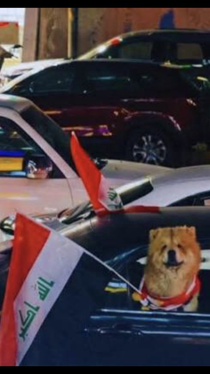 الحشد المخصي 🥙 tweet media