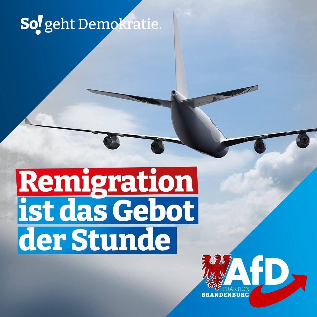 Astronaut Farmer 🇺🇸 tweet media