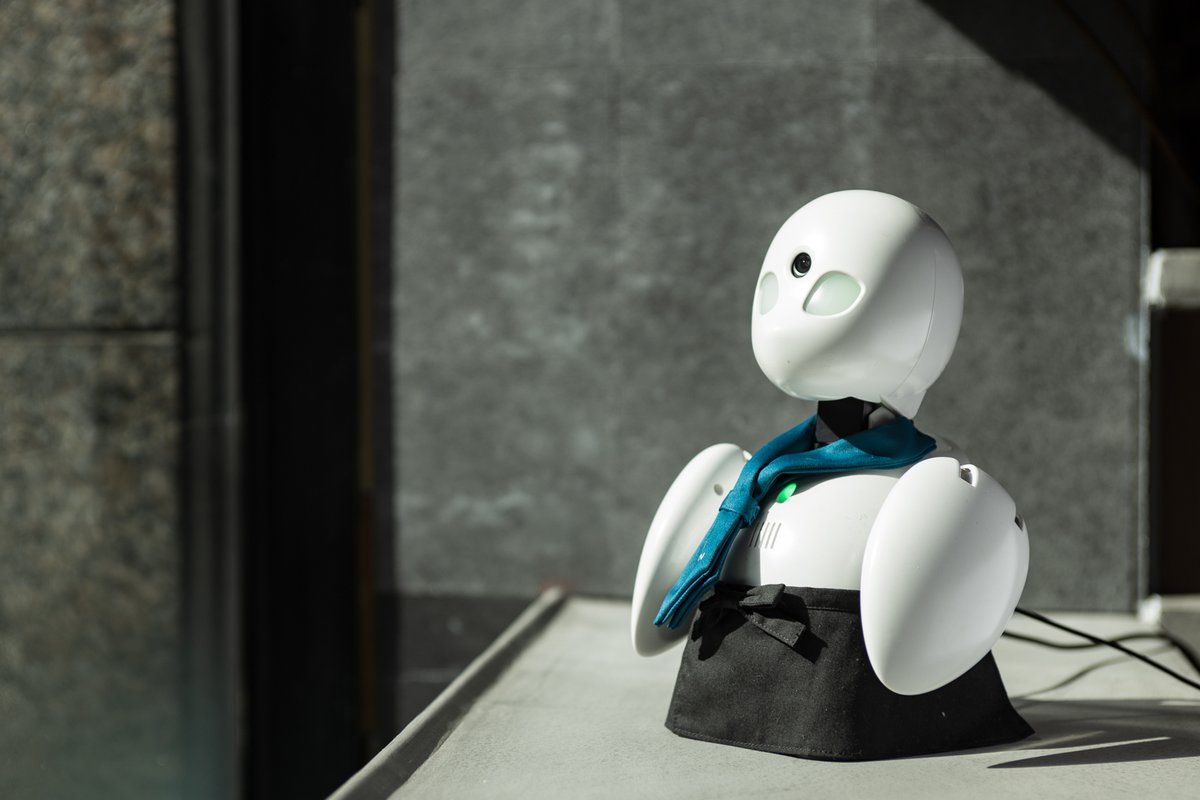 おはようございます！！

本日、木曜日
DAWNは定休日となっております<(_ _)>

お間違いなきよう
よろしくお願いいたします。

金曜日からは
元気もりもりで、営業いたします💁💛

＃分身ロボットカフェ
＃BunshinRobotCafe