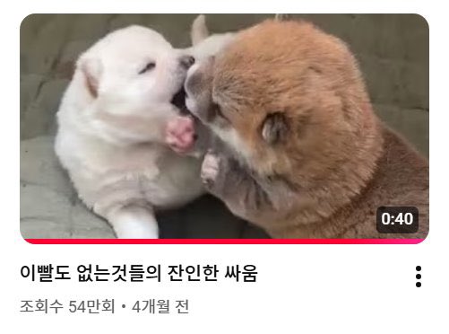 링호선 tweet media