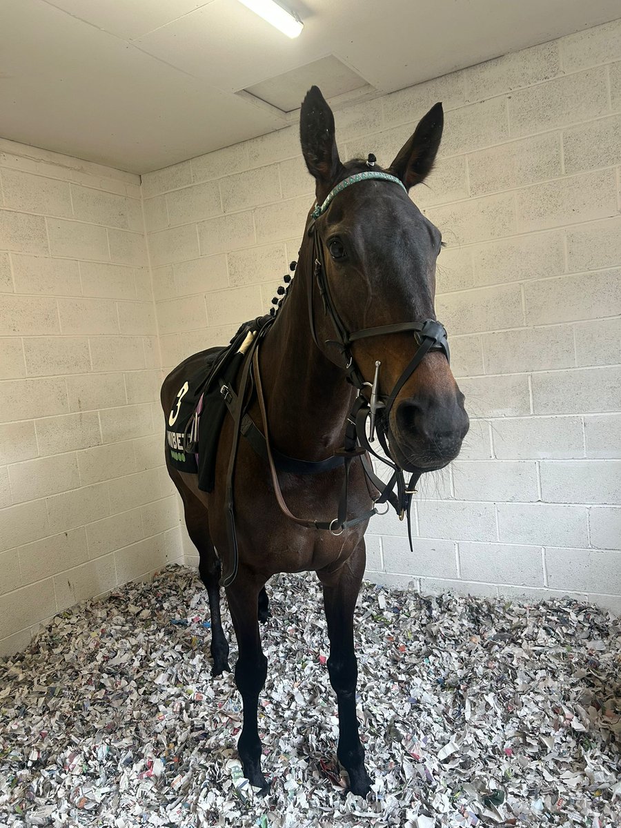 Old Gold Racing tweet media