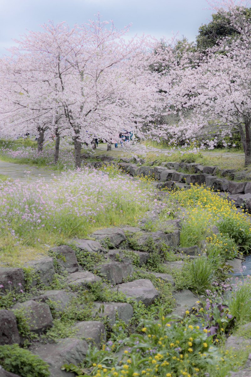 𝗦𝟮 tweet media