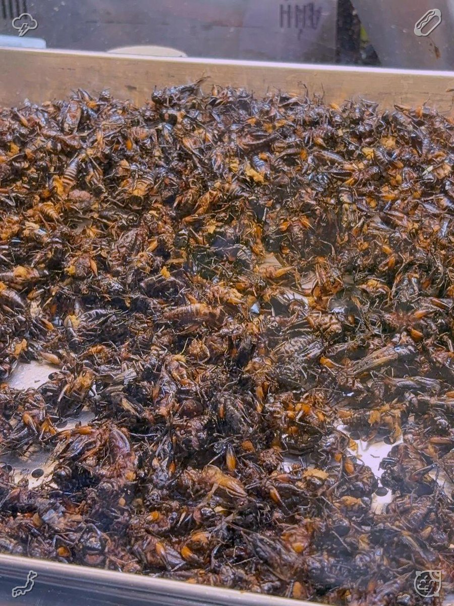 Harvest and package honey
