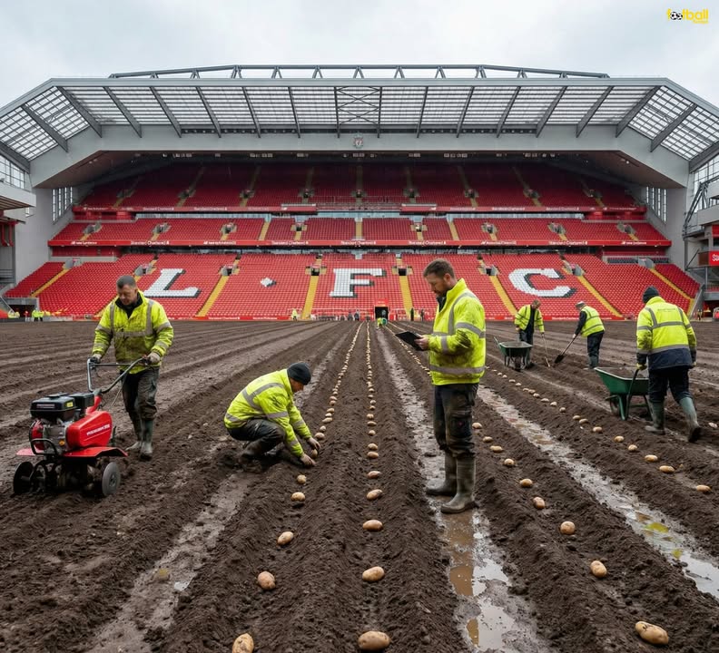 FootballFunnys tweet media