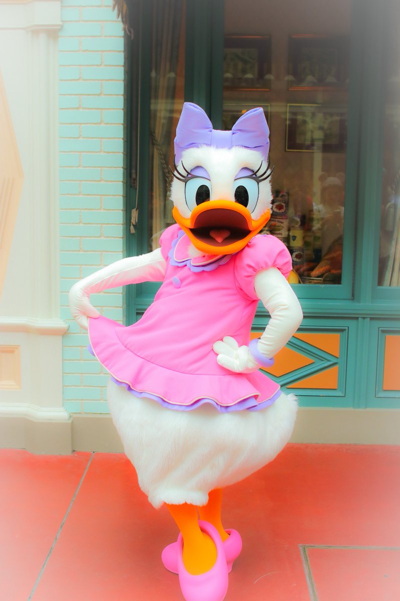 アリスワールド tweet media