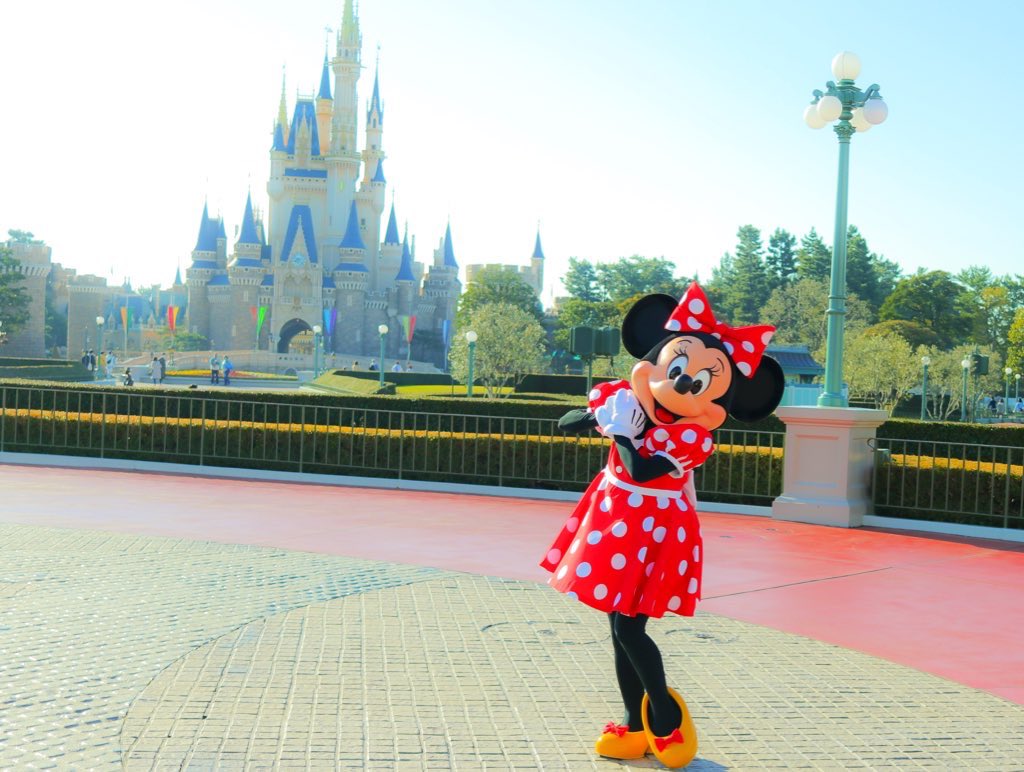 アリスワールド tweet media