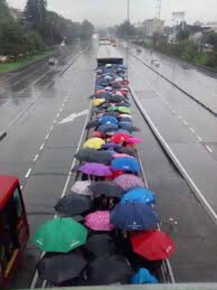 Con los buenos días desde el mejor sistema de transporte del mundo