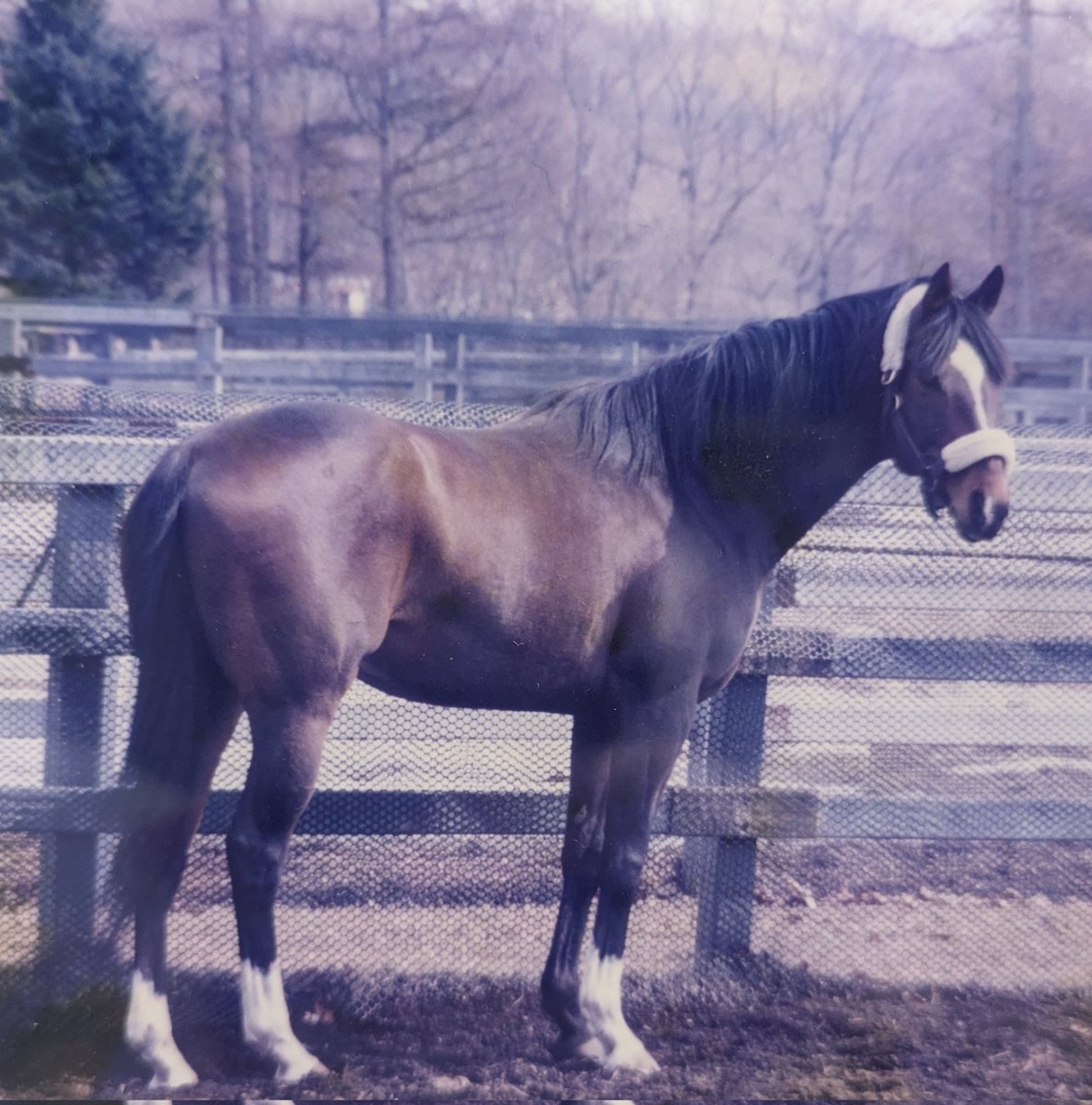 ひできち。@佐藤🌸🍀🌻 tweet media