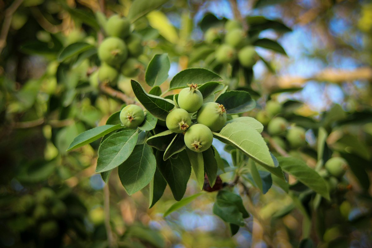 joseph yang tweet media