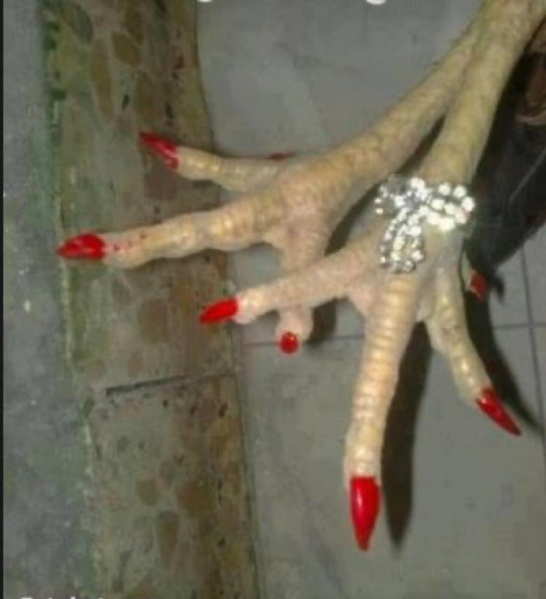 Abu Turki tweet media