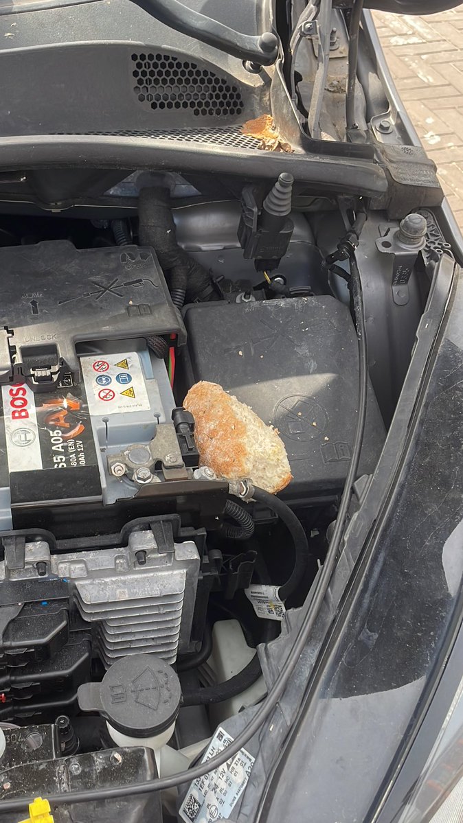 buse 🍀 tweet media