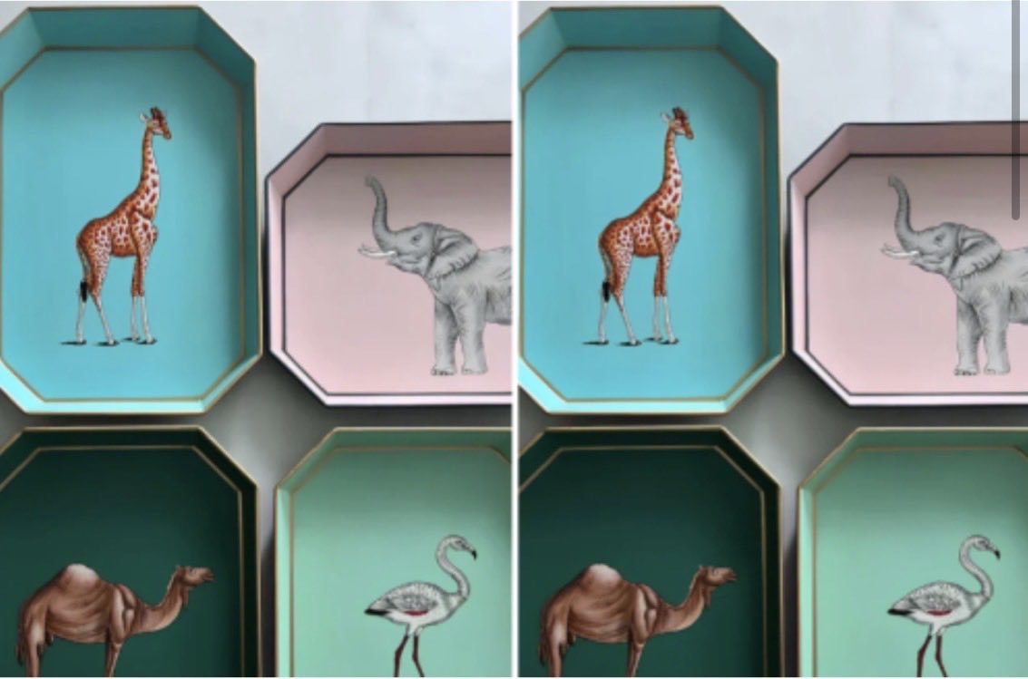 Maria Barros tweet media