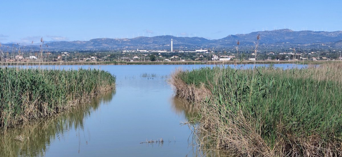 transicioeco's tweet photo. 💧 En marxa la millora ambiental de la bassa de les Olles!
Actuem al #PNDeltadelEbre per posar fi al rebliment de la llacuna. Amb la retirada de sediments, recuperem la salut d'aquest ecosistema clau. 🦆✨
👉 https://t.co/rw2xs1jfly https://t.co/ujoBvH7oB0
