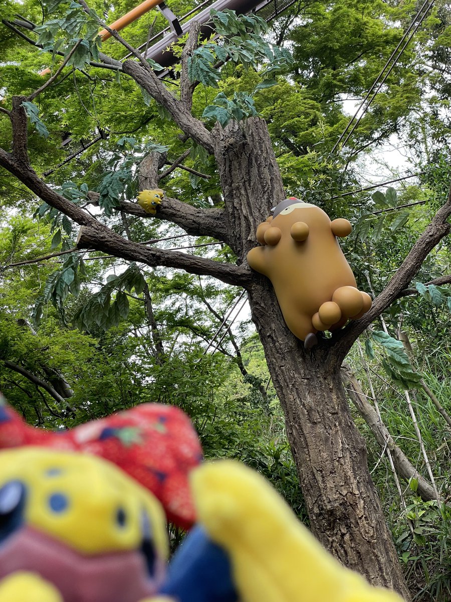 栄美綾香 tweet media