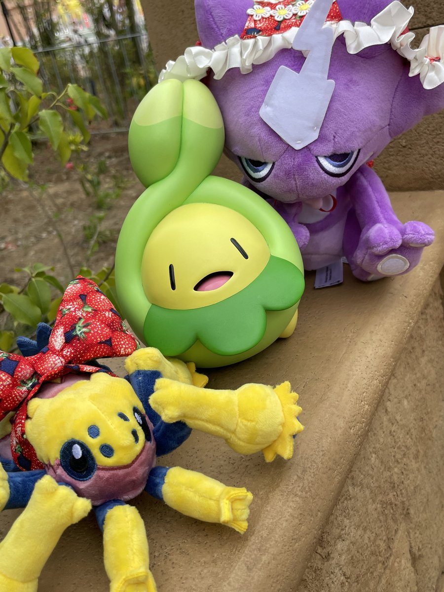 栄美綾香 tweet media