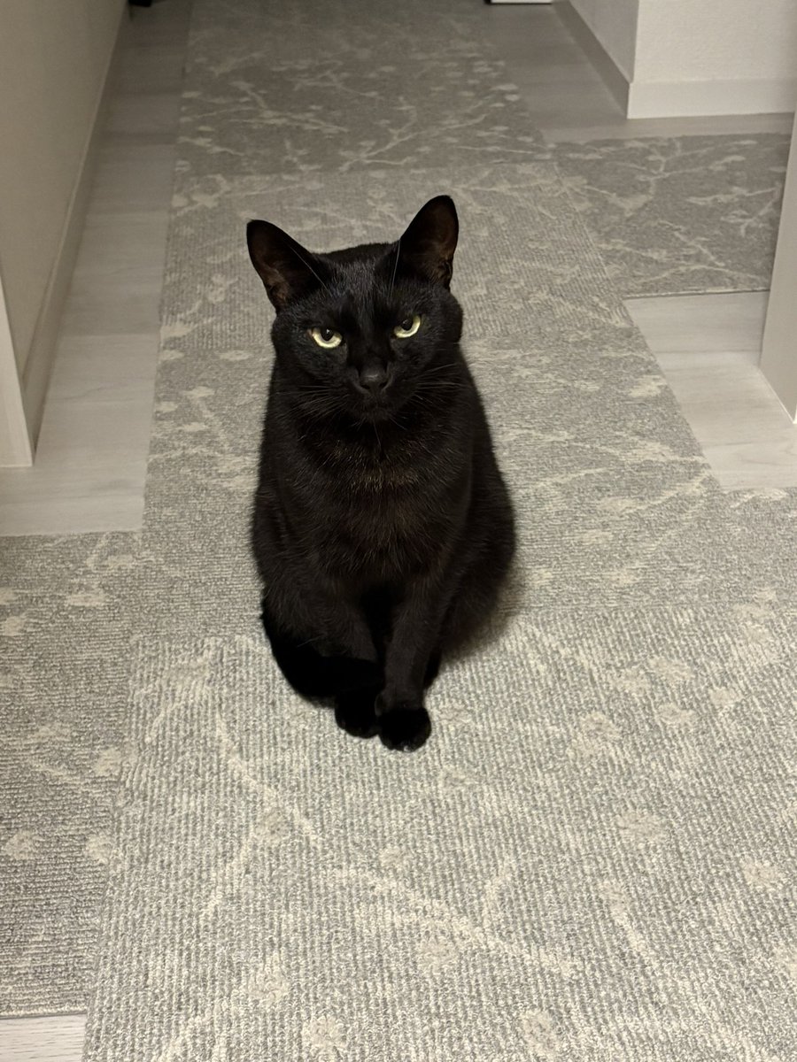 うおおお tweet media