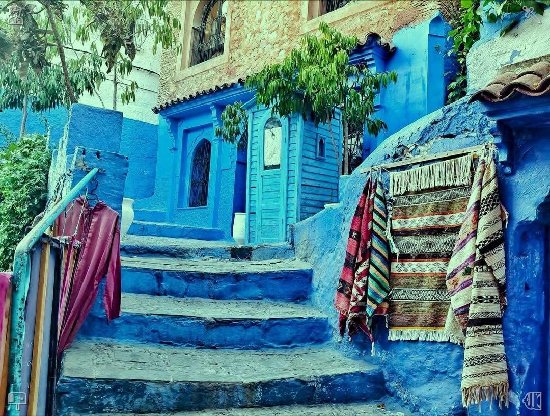 6047109668 drjulierao, 6047703400 6044288682 tweet media