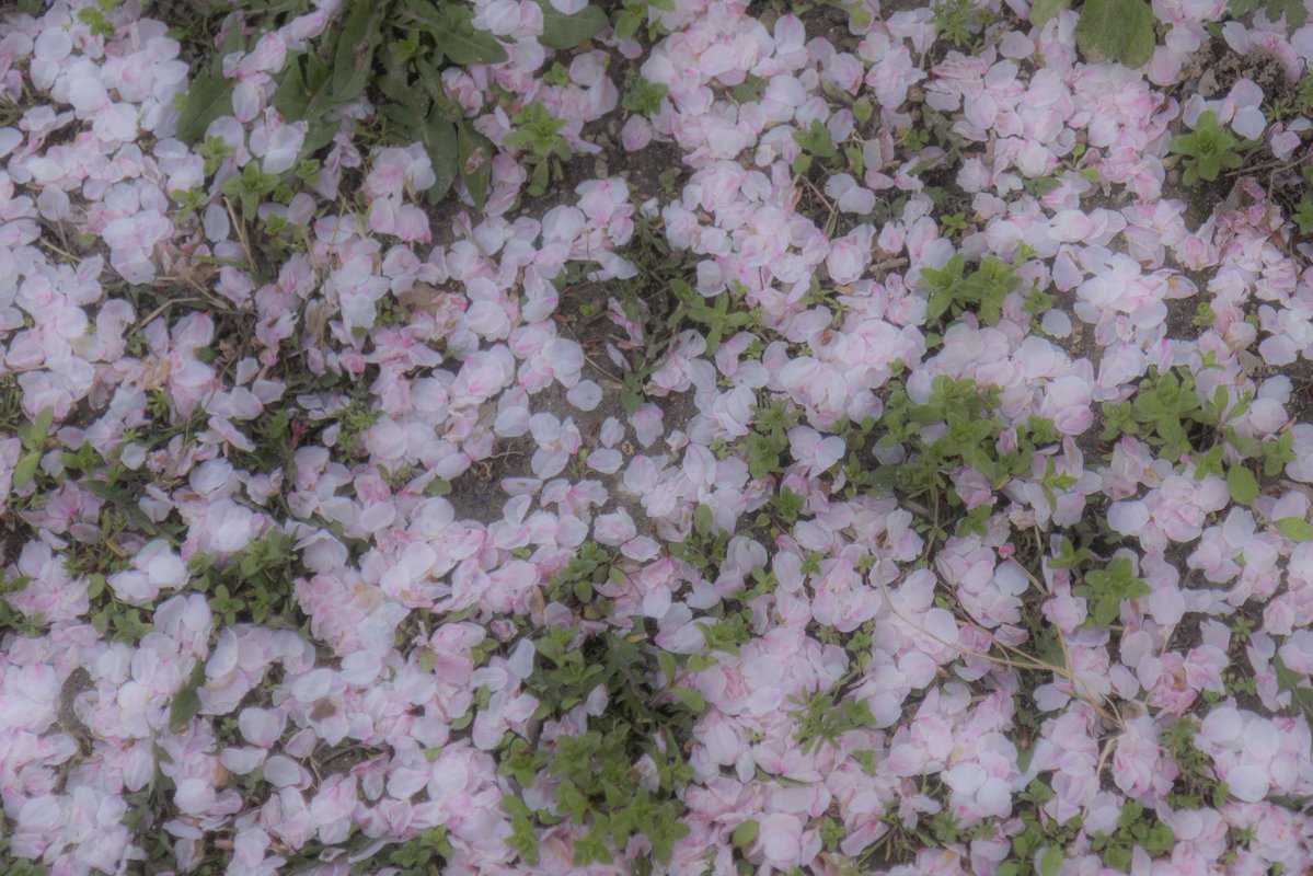 𝗦𝟮 tweet media