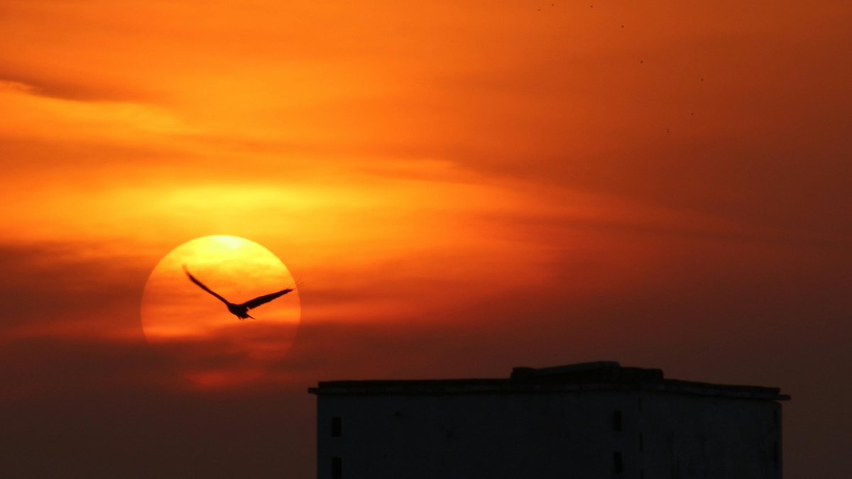 جودز،،💓 جودز،،💓 tweet media