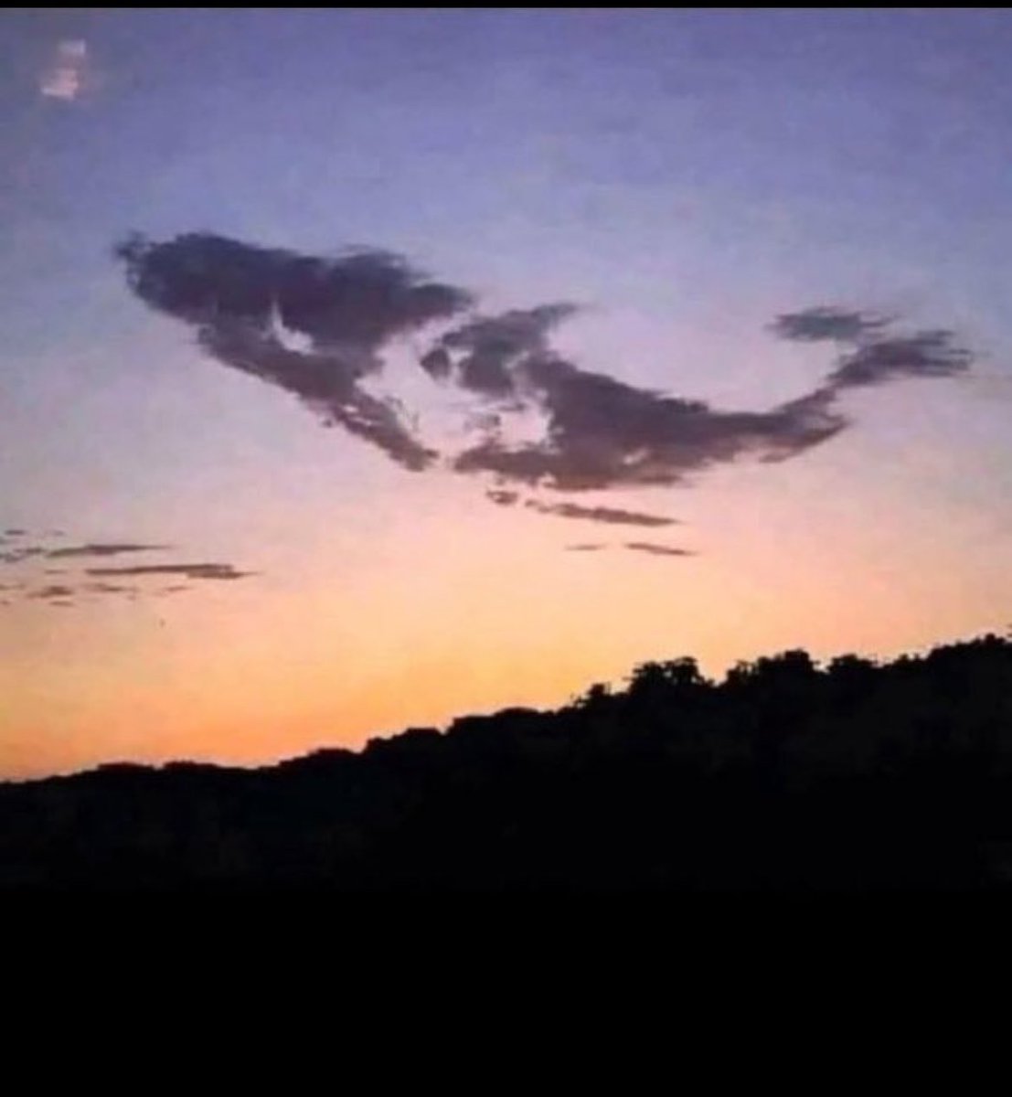 Easy 🅰️ tweet media