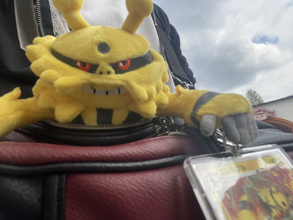 0kk03744725287c's tweet photo. エレキブルと共にポケパークカントー行ってきましたわ

スタッフさんにエレキブルにも声掛けていただいて感無量 https://t.co/kecyLfJcHv