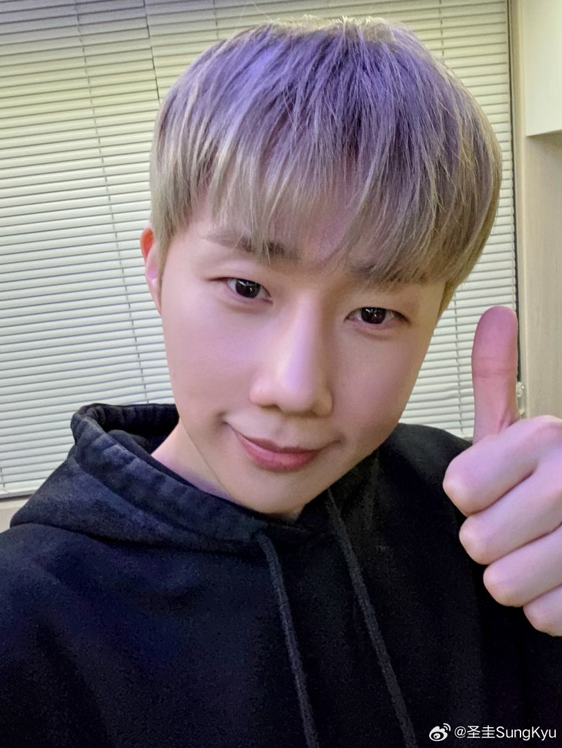 INFINITE INFO tweet media