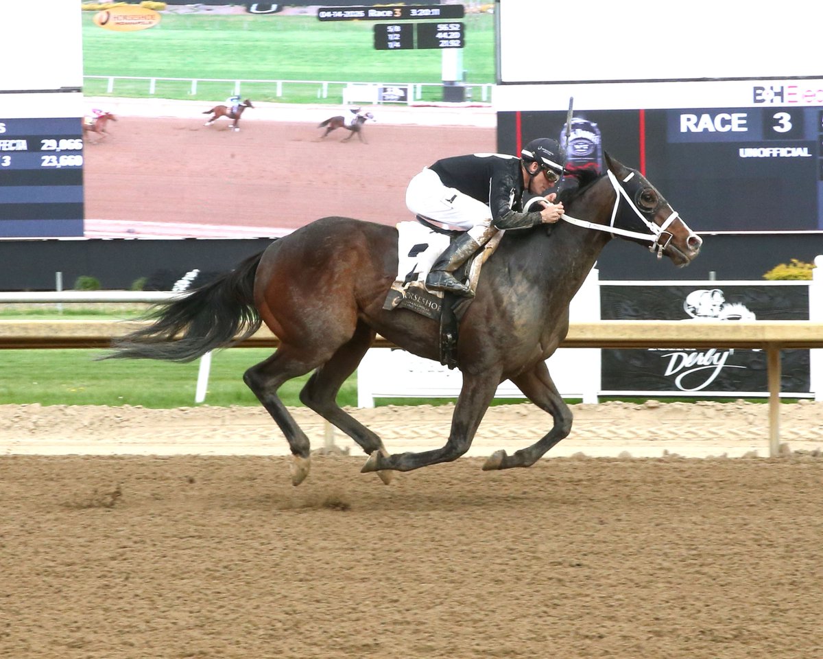 Equibase's tweet photo. Good Morning and Happy Wednesday! 🏇☕️

Willie Bird, a 4yo gelding by Bucchero, ran the highest average MPH of any horse in North America yesterday, averaging 38.95 MPH in his 3 length win in the 3rd race at @HSIndyRacing !

Trained by Larry Rivelli, Willie Bird covered 6F on the dirt in 1:09.98 and his peak speed reached 45.74 MPH after a quarter mile under Rodney Prescott. 

Willie Bird now has 6 wins, 2 seconds and a third from 11 career starts for owner/breeder Carolyn Wilson.

For more statistics from today and the day prior, visit Equibase Daily Insights with the link below:
https://t.co/qPE5fH6HY3

📸Coady Media