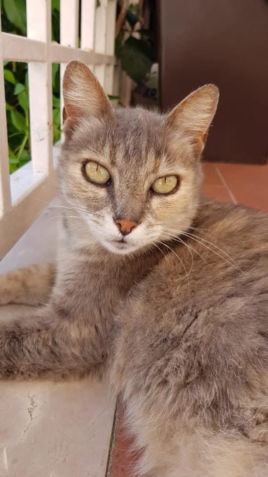 nemi 🍒 tweet media