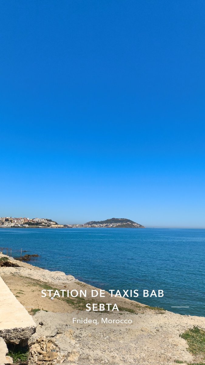 MocroScope 🇲🇦 🇪🇸 tweet media