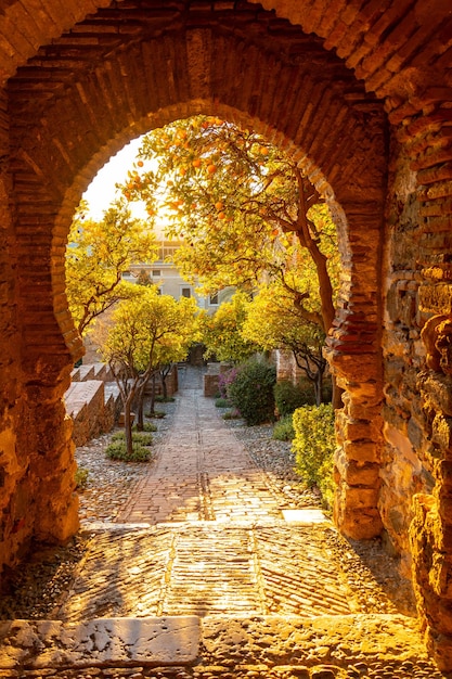 Court{فناء_داخلي}Yard tweet media