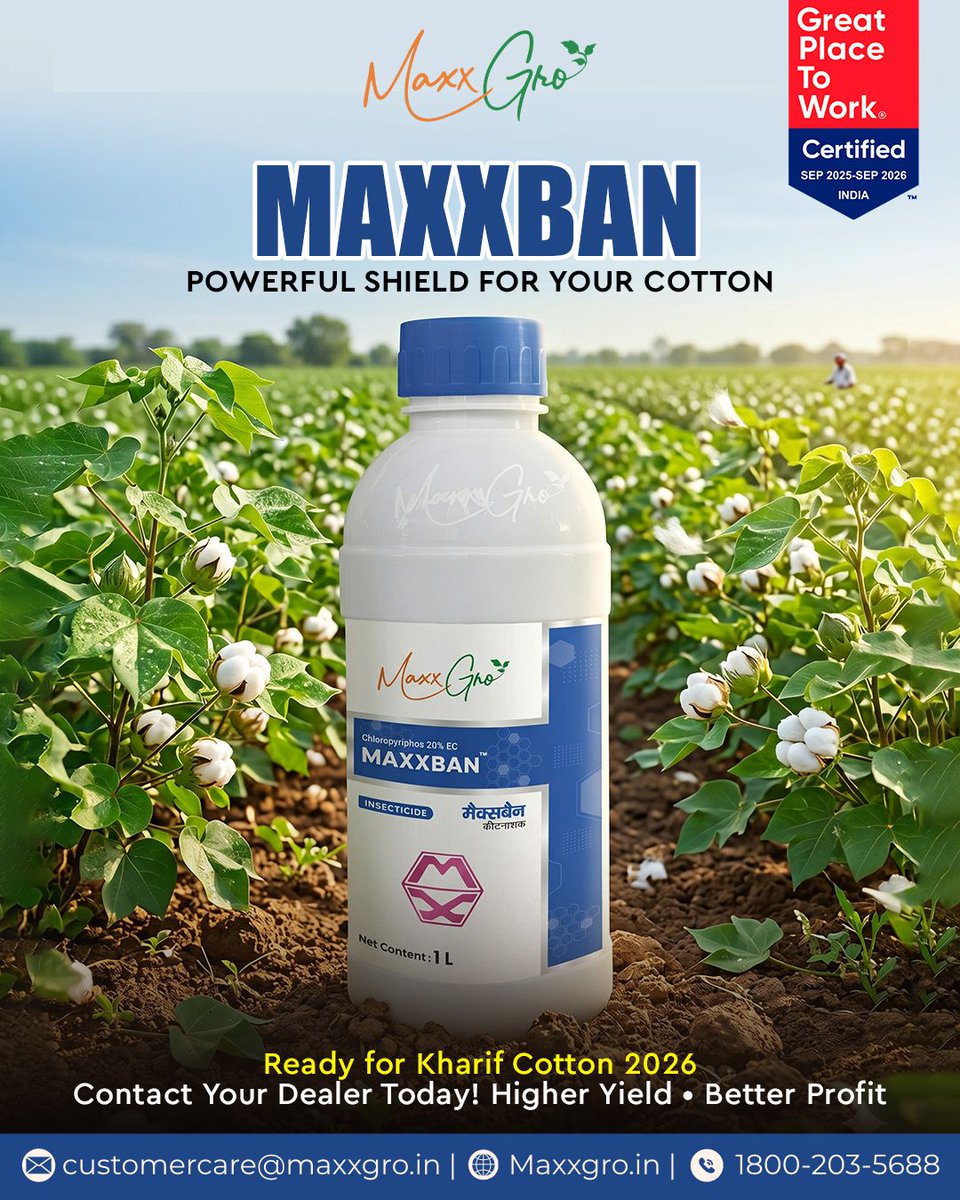 maxxgroagrology's tweet image. 🌾 POWERFUL PROTECTION FOR YOUR COTTON 🌾
Meet MAXXBAN by Maxxgro Agrology Limited - your cotton's best defense! 🛡️✨
Contact your dealer today &amp;amp; secure your cotton's future. 🚀
Ready to maximize your yields? Drop a comment below! 👇
#maxxban #cottonfarming #insecticide #MaxxGro