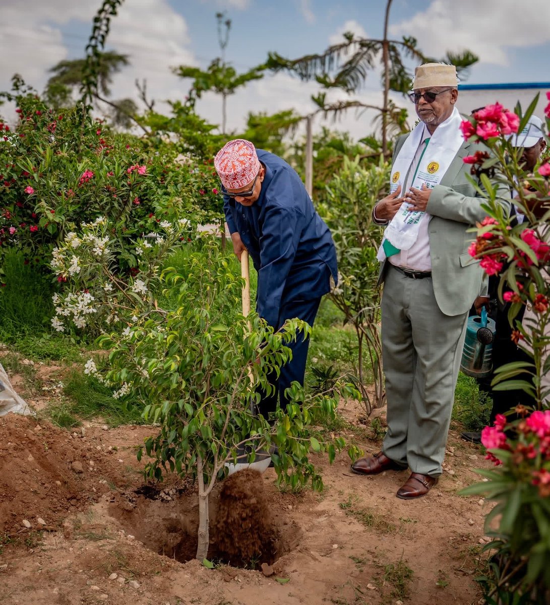 SDGSomaliland's tweet photo. President @Abdirahmanirro attended the National Tree Planting Day Event.

Environment protection matters and tree planting plays a key role in stabilizing our natural ecosystem.  
Let’s keep planting, restoring, and safeguarding our future. 

 #TreePlantingDay #Somaliland #SDG https://t.co/G761xZckKU